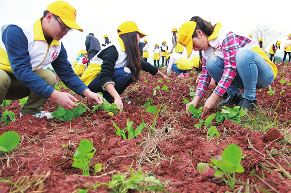 1447897231513008665.jpg 2.jpg